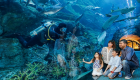 "دبي أكواريوم وحديقة الحيوانات المائية".. الأفضل في العالم