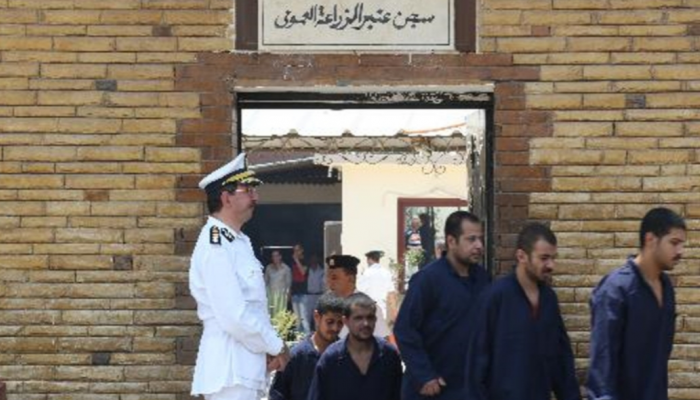 العفو الرئاسي جاء احتفالا بذكرى ثورة يوليو