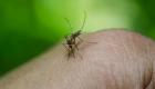 ملاريا بلا علاج تهاجم جنوب شرق آسيا