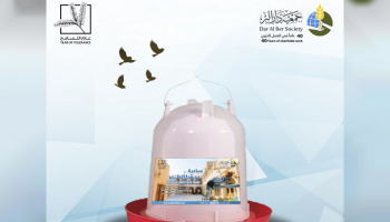 مبادرة 