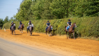 برعاية إماراتية.. نيوبري تستضيف سباق دبي الدولي للخيول العربية الأصيلة