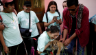 نمران صغيران يلعبان مع زوار حديقة حيوان مكسيكية 