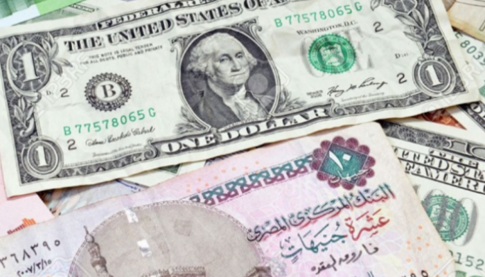 استقرار سعر الدولار في مصر