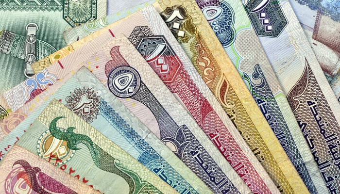 رصيد المركزي الإماراتي يسجل مستوى قياسيا من شهادات الإيداع