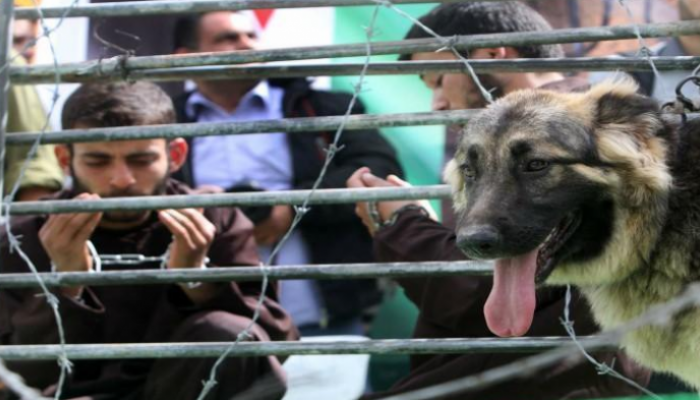 أسرى فلسطينيون في سجون الاحتلال الإسرائيلي