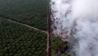5600 من الجيش والشرطة لإخماد حرائق غابات في إندونيسيا