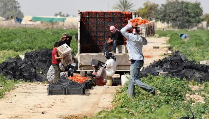 العمال الأتراك ضحية استغلال الشركات