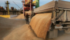 %24 ارتفاعا في واردات تركيا من القمح‎