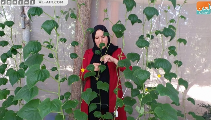 المهندسة الزراعية الفلسطينية إرادة الزعانين