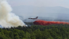 اكتشاف المتسبب وراء حرائق الغابات بروسيا