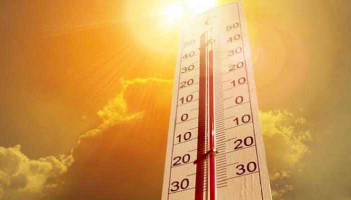 عدد الوفيات في هولندا زاد بنحو 400 خلال الموجة الحارة