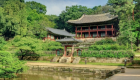 كوريا تدعم السياحة الداخلية بفتح القصور الملكية مجانا للزيارة