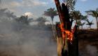 صور لحرائق غابات الأمازون تثير الانتقادات في البرازيل