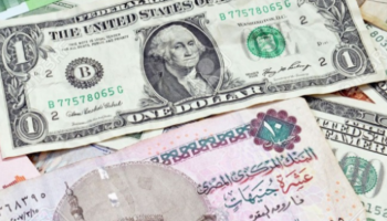 سعر الدولار في مصر
