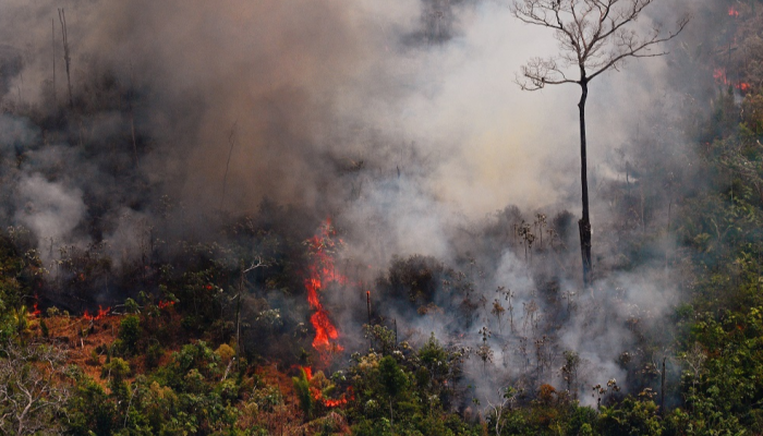 معدل حرائق غابات الأمازون ارتفع خلال الأيام الأخيرة بشكل غير مسبوق