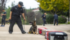 "كونشيون".. أول كلب مستنسخ في صفوف الشرطة الصينية