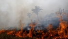 7 أسئلة تلخص كارثة الأمازون.. 78 ألف حريق تلتهم "رئة العالم"