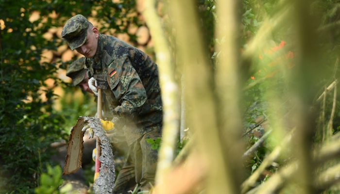 الحكومة الألمانية تستعين بالجيش لقطع الأشجار فريسة الحشرات