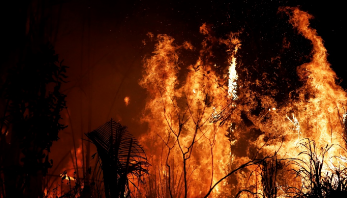 حرائق الأمازون تأثيرات بيئية واقتصادية قبل تحدي سبتمبر
