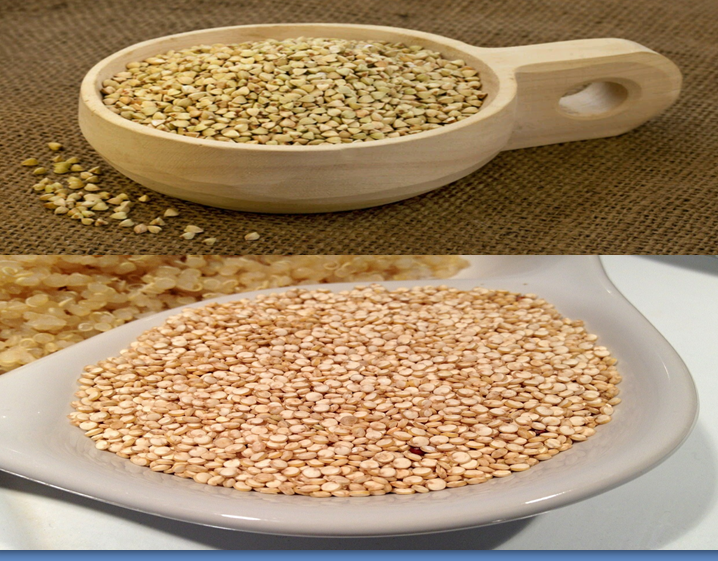 47-163853-benefits-quinoa-health-cooking-recipe-4.png