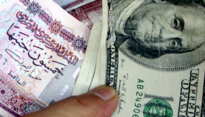 سعر الدولار في مصر