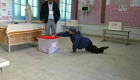 الانتخابات التونسية.. غياب للشباب وحضور لافت للكبار