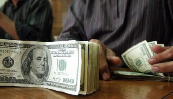 سعر الدولار في مصر