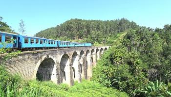 دنماركيون يستكملون بناء أطول جسور قبائل الفايكينج