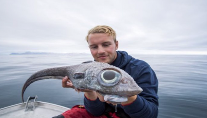 الصياد النرويجي يمسك سمكة 