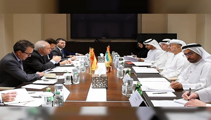 جانب من المشاورات السياسية التي أجراها قرقاش مع مارتن فالينزويلا
