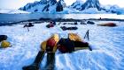 إير بي إن بي تطلق رحلة مجانية إلى أنتاركتيكا لـ5 مغامرين  
