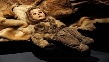 مومياء طفل رضيع عمره 6 أشهر