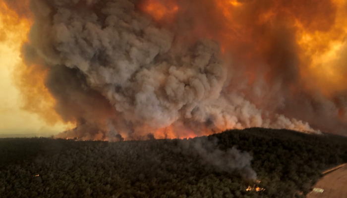 النيران أتلفت 5.36 مليون هكتار من غابات أستراليا