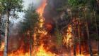 حرق 60 مليون شجرة في تركيا خلال 6 سنوات‎