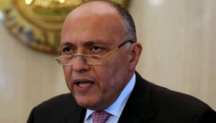 سامح شكري وزير الخارجية المصري