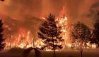 آسٹریلیا کے جنگل میں آگ لگنے سے قومی خزانے کو اربوں روپے کا نقصان