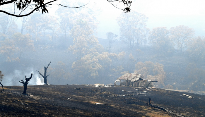 الحرائق التهمت غابات أستراليا بعد أشهر من اندلاعها