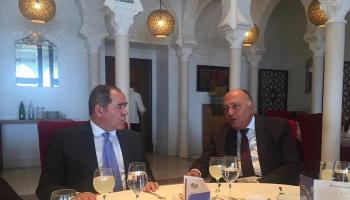 وزير الخارجية المصري ونظيره الجزائري
