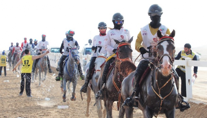 مهرجان الشيخ محمد بن زايد للقدرة