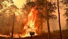 مئات الحرائق تواصل التهام غابات أستراليا