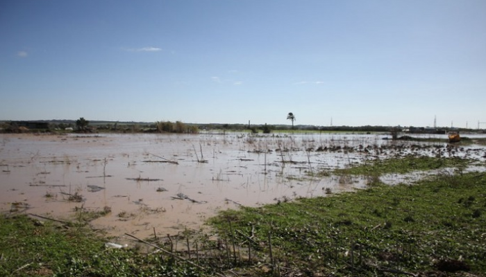 خسائر فادحة في الزراعات والأراضي التي تم إغراقها بالمياه