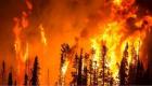 19 ayda 4 bin 132 orman yangını çıktı