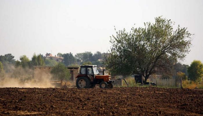 تقلصت مساحات زراعة القمح في تركيا 