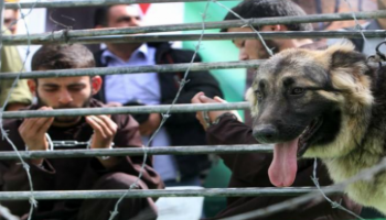 أسرى فلسطينيون في سجون الاحتلال الإسرائيلي