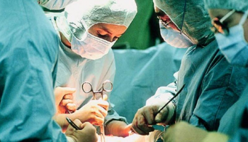 الشبكة تتزعمها امراة ومكونة من 8 أفراد - أرشيفية