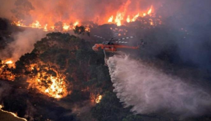  145 حريقا على الأقل لا تزال مشتعلة في ولايتي نيو ساوث ويلز وفيكتوريا