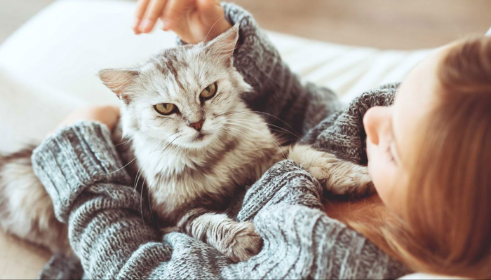 طبيبة تنصح هواة تربية القطط باستشارة الطبيب فور ملاحظة أعراض الحساسية 