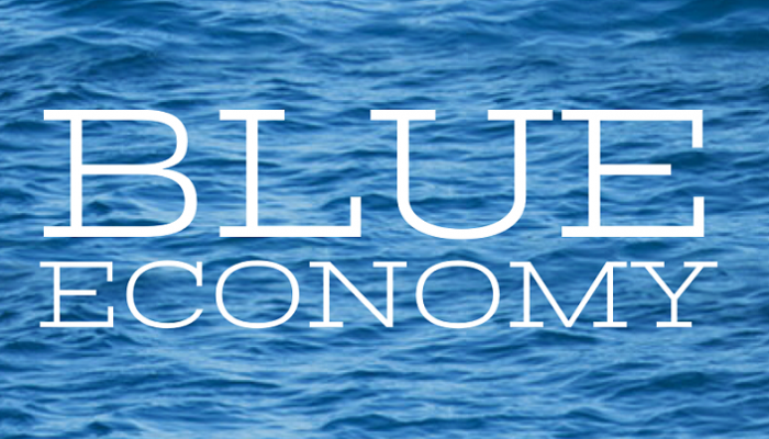 الاقتصاد الأزرق.. أحدث أدوات استدامة الثروات والمناخ العالميين
