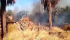 حريق يلتهم 10 آلاف نخلة في "تازربو" الليبية