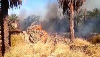 الحريق يلتهم 10 آلاف نخلة